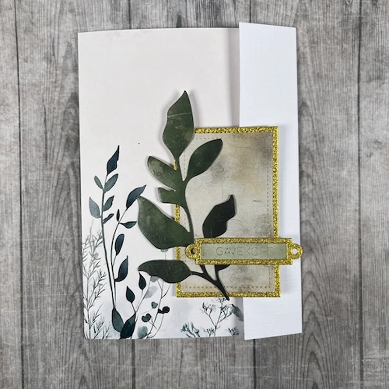 Contant geld cadeau Gefelicite - Baby Food Diary recensie en prijs